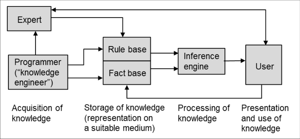 Understanding Expert Systems